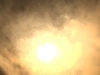 bild-16
