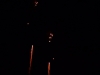 bild_02