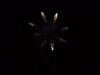 bild_05