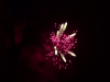 bild_06