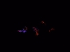 bild_11