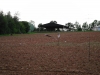 sam_0170