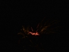 Neuwürschnitz 25.06.2016 Geburtstagsfeuerwerk